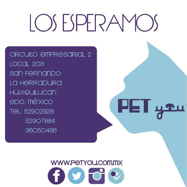 PETYOUMX tweet picture
