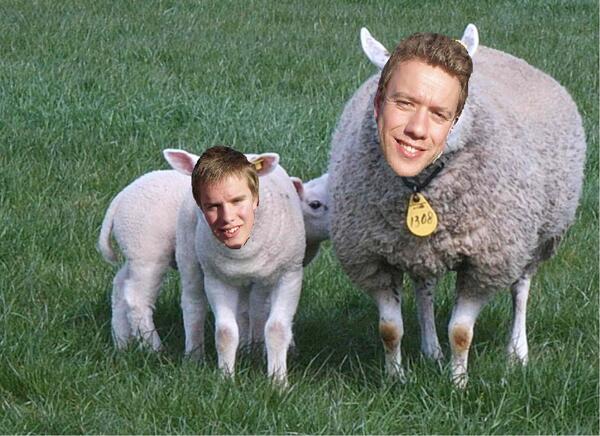 ElTigre_2's tweet photo. Volgende week begint voor El Tigre de oefencampagne. Onze schaapjes staan al te trappelen @schaapie124 http://t.co/va4t3LCrOf