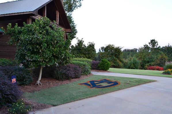 AUFAMILY tweet media