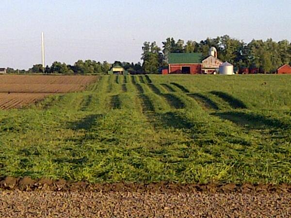 1st hay cut this year.
