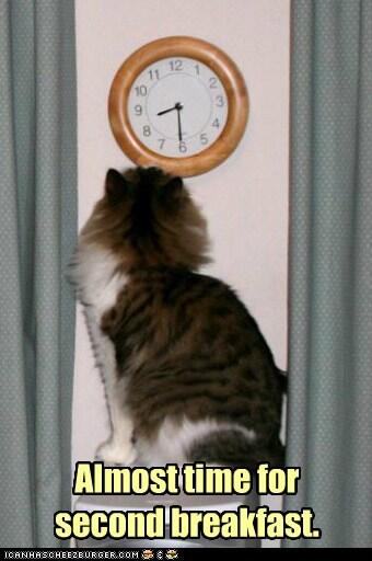 ShireKitty's tweet image. I know i always do this..