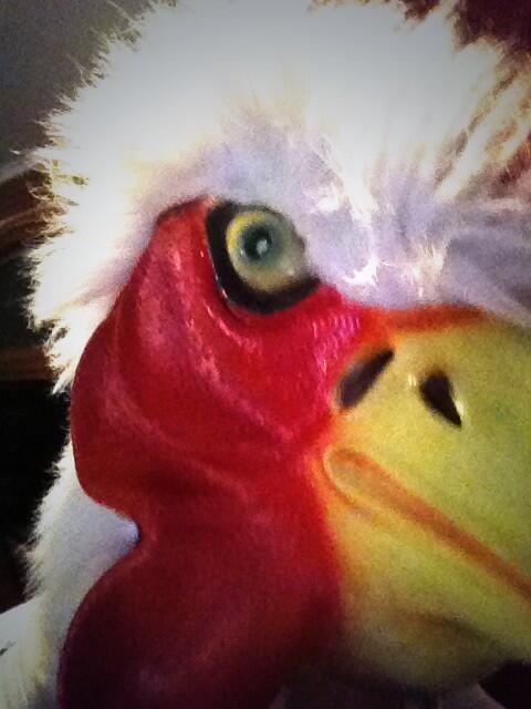 ZooChicken's tweet photo. Living the dream, was the "smother hen" good enough to get the call up for the crusaders game? #HIGHLANDERS http://t.co/R7r6ng9I19