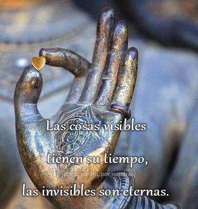 karito0413's tweet photo. http://t.co/h6ETOCM5wH