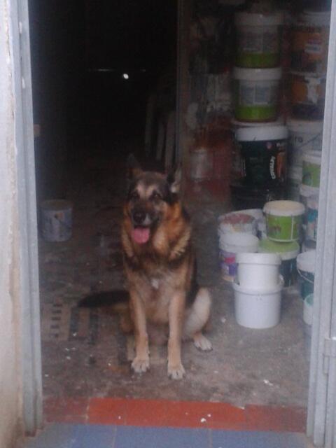 SonniaGomez's tweet photo. Me haces feliz http://t.co/BdQL9tfKc7
