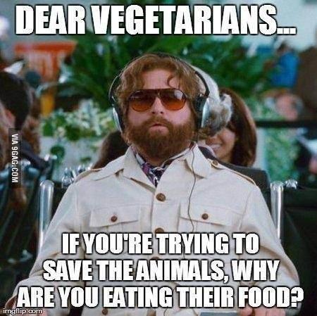9GAG ❤️ Memeland tweet media