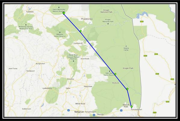 The White-backed Vulture tagged at Dundee in March has moved a distance of 215km straight-line in less than 24 hrs.