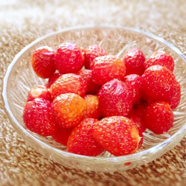 aube_yoake's tweet photo. 自家栽培のイチゴ。だんだん小粒になってきました( ；´Д｀)美味しいから食べ過ぎちゃう！一人前モリモリです。 http://t.co/yQvPWuIF4u