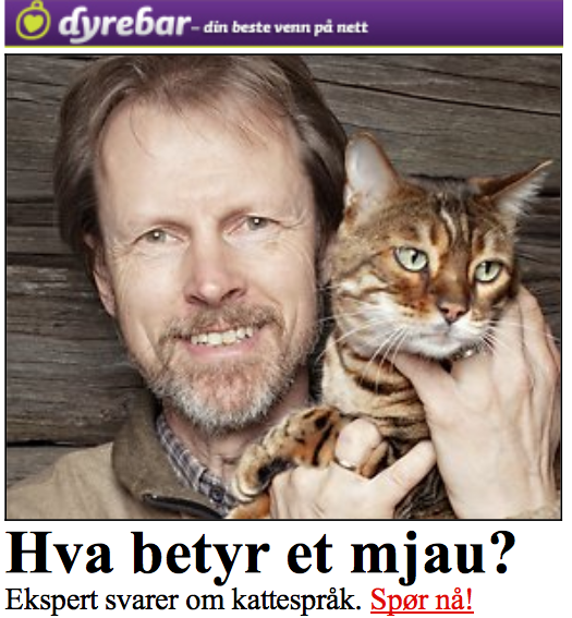 Bård Tufte Johansen tweet media