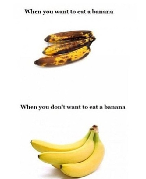 OMG_Hungry's tweet photo. RT = true http://t.co/7rps44bpd9
