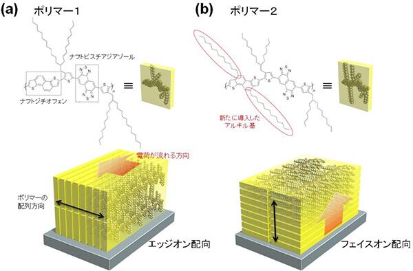 SJN_News's tweet photo. 理研とJASRI、塗るだけできれいに配列する半導体ポリマーを開発。塗布型有機薄膜太陽電池の高性能化に期待 （発表資料）http://t.co/cIvoJcnGrA http://t.co/KWtiRaEE87