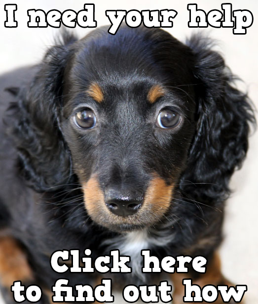 dosslo's tweet photo. Play Bingo with Friends! #ilovebingo #BingoRun http://t.co/7WBaQNVdnB http://t.co/Bkopp9X5Jc