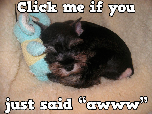 dosslo's tweet photo. Play Bingo with Friends! #ilovebingo #BingoRun http://t.co/NMdEBnOfLn http://t.co/9HG7Rnw6li