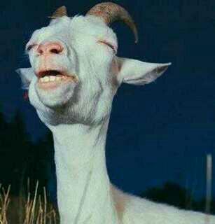 YvosTipoo_'s tweet photo. Tu vieja prende la luz a la mañana y vos tipo... http://t.co/eEodvFbIsA