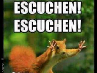 TuiterHits's tweet photo. Suena tu canción preferida y tu estas así http://t.co/JVref9ftNU