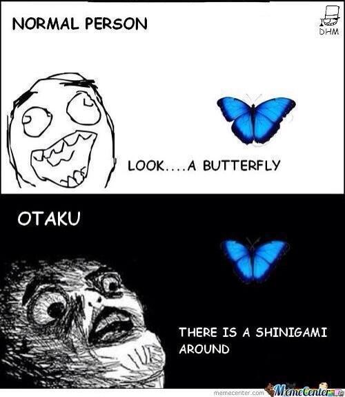 ichigonumber1's tweet photo. #bleach xD #truestory http://t.co/QbtRIHvYIj