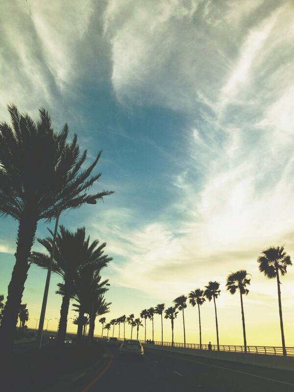 AlyssaShrock's tweet photo. #postcardsarasota http://t.co/F2lA0ngEGD