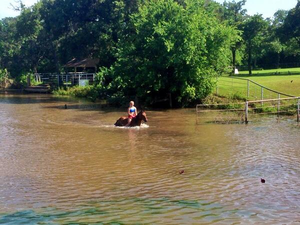 TotalEqMove's tweet image. Just keep swimming