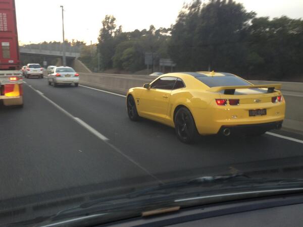 Michael5SOS's tweet photo. BUMBLEBEE I FOUND YOU http://t.co/HMiURuYqf8