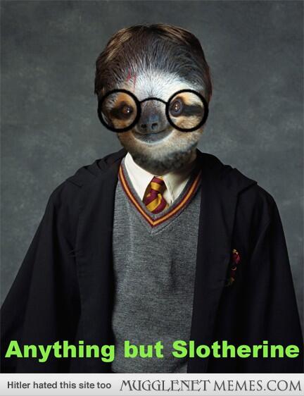 HarryMemes's tweet photo. Sloths are slowly invading Hogwarts... http://t.co/IzqY0Envni