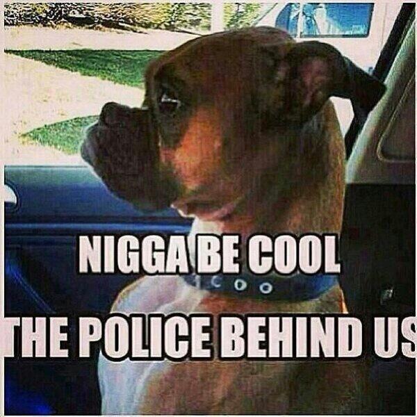 PixLMAO's tweet photo. Nigga be cool http://t.co/KDFzKcN8vj