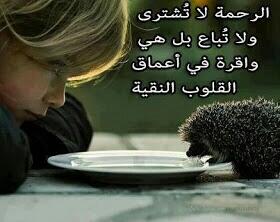 sts14994's tweet photo. الراحمون يرحمهم الله" http://t.co/7rD1P07Q5a