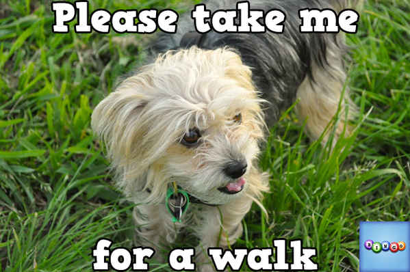 Heatherglam's tweet photo. Play Bingo with Friends! #ilovebingo #BingoRun http://t.co/LONJgE7viL http://t.co/6PiKTlOPwQ