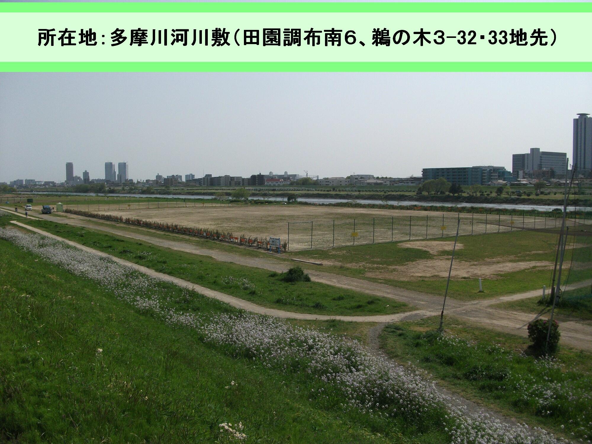 大田区 緑地を拡張 多摩川鵜の木緑地を拡張整備し 名称を 多摩川田園調布南 鵜の木緑地 と改めて開園 サッカーやアメフトなどができる球技場 有料 と多目的小球技場 無料 を新たに整備 うぐいすネットで要予約 余暇活動や健康のために ぜひ