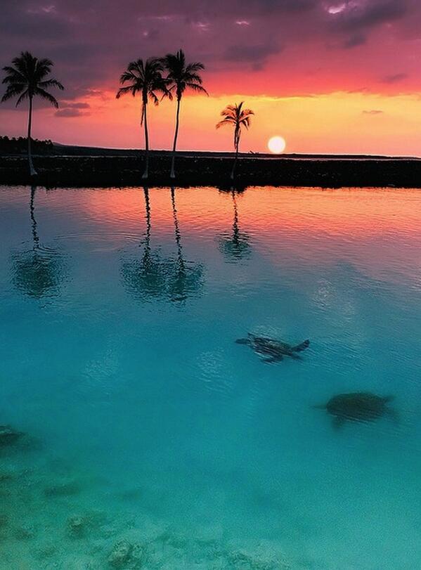 綺麗な風景画 キホロ湾の日没 ハワイ島 Http T Co Id75vcja 拡散希望 Twitter