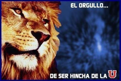 FranAlarconA's tweet photo. @NacionAzul feliz cumpleaños a mi amada #UdeChile !! #Felices86AñosUdeChile el orgullo de ser azUl :) http://t.co/sACCeH1bsB