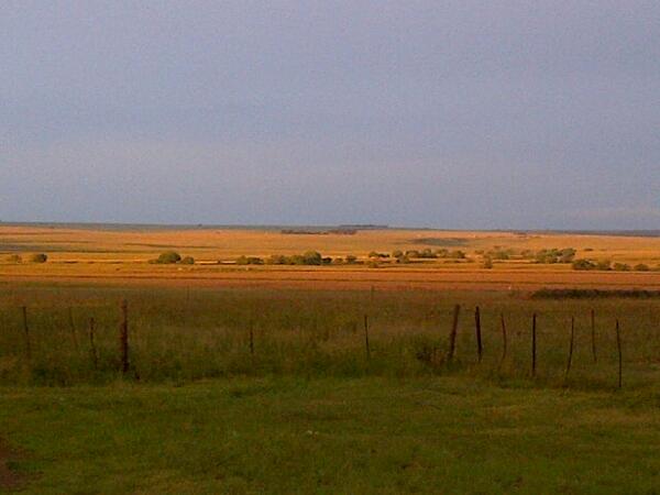Chris4Ehlers's tweet photo. @BakkiesBotha4 mre wil jou net wys hoe ons plateland lyk!hoop dit help vi homesick http://t.co/zYtKGBN2eS