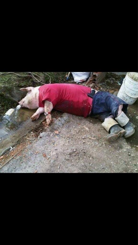 HTaskerud's tweet photo. Rune Øygard drikker bort sine sorger!!! http://t.co/jpBWg0T08F