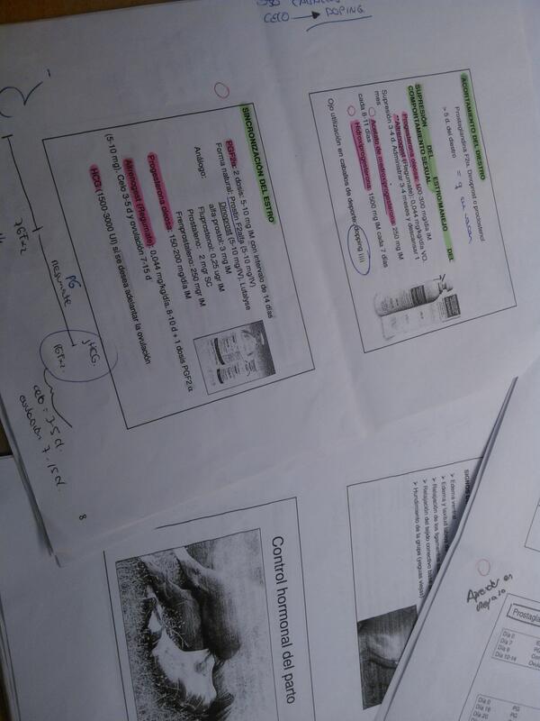 beagonzalezs's tweet photo. Hasta las narices de la progesterona #carmen,vane. http://t.co/avnDbew7q4