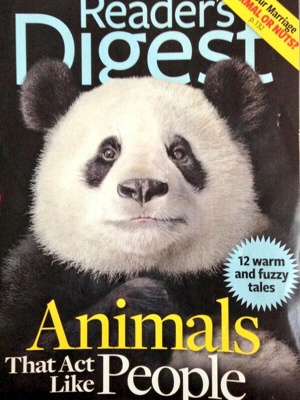 mmlee's tweet image. Chuckling about this @ the dentist after last night's #wtfevolution design session @cooper (Panda Poupon, anyone?!)