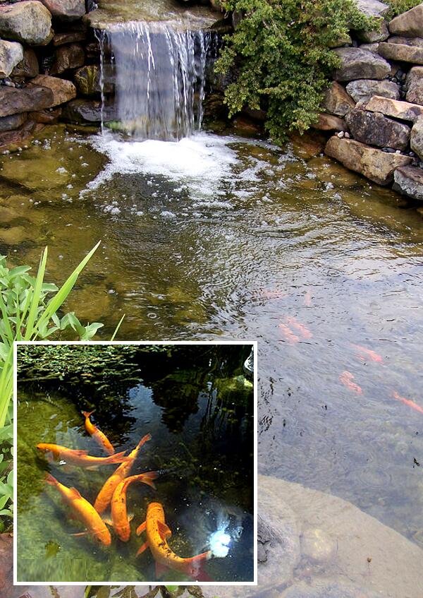 Water X Scapes (WaterXScapes) Twitter