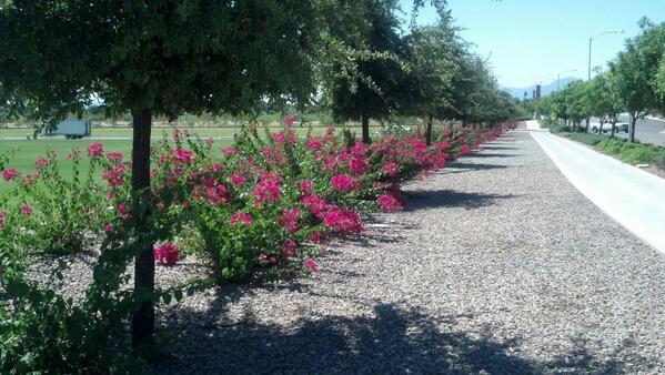 AssetLandscape tweet picture