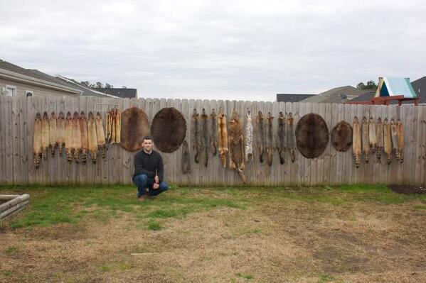 CTFurHarvester's tweet photo. Most of my fur catch this year , at Nafa awaiting grades and lots. #EndoftheLine #TightChains #Trapper4Life #FurShed http://t.co/DF4kwP9zUS