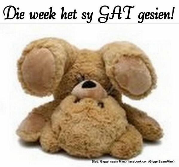 ChubbyCc's tweet image. 