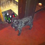 Photo by Hyde Tavern (@hydetavern)