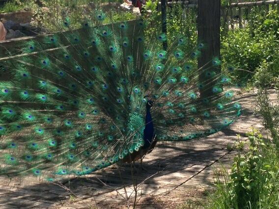 Emanuelle Carriere Emacarriere Twitter