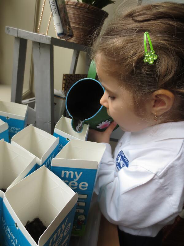 richlandacad's tweet image. PHOTO DAY 63: Our ‘Gardener’ making sure that our seedlings are not ‘thirsty’ for water over the weekend. #PreKClass