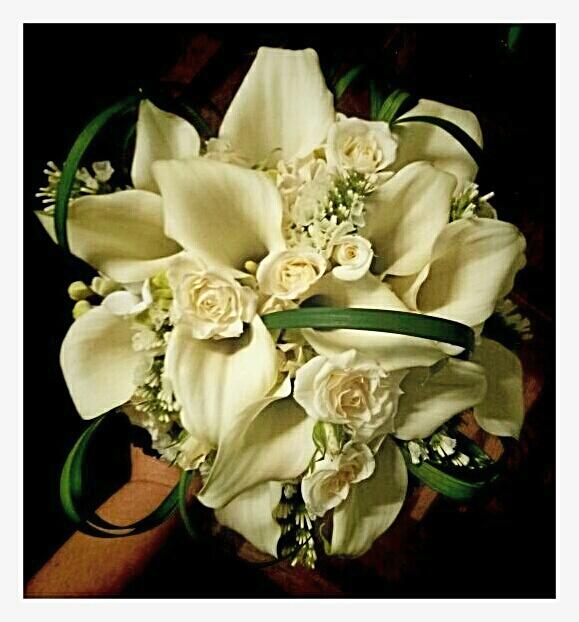 bloomflors's tweet photo. http://t.co/Z6KwHxLWGg