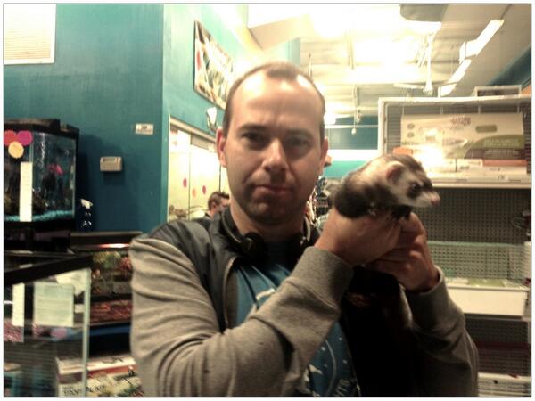 impractical jokers murr ferret impractical jokers murr ferret