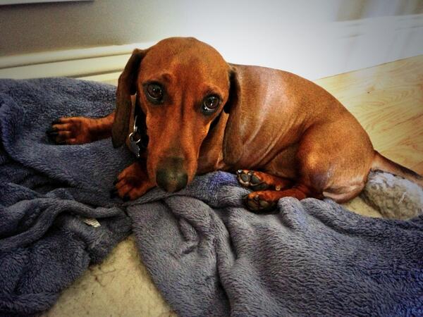 Am I cute or am I naughty?