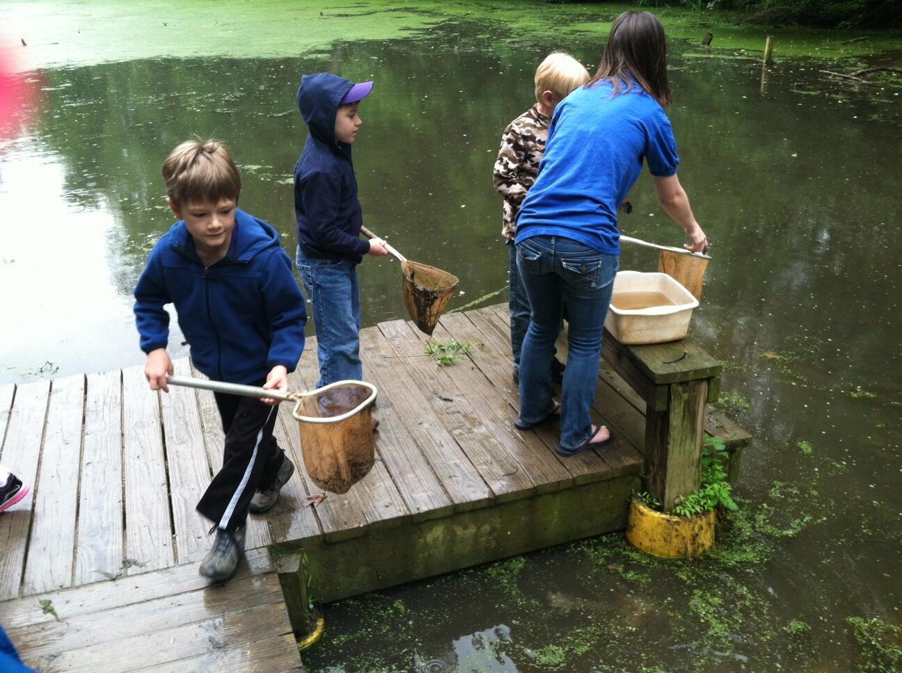 Catching tadpoles at Hidden Pond