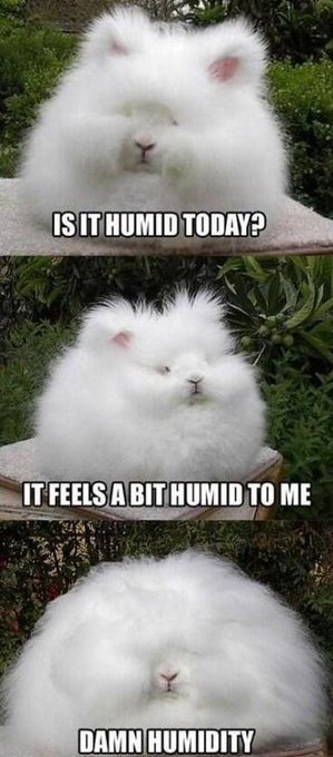 Watch Jaclyn Swedberg's leaked NSFW photo on TwXstars