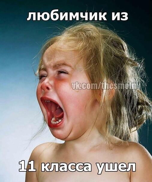VetaMeta tweet picture