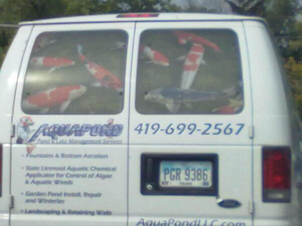 high5phil's tweet image. There's something fishy about this van
#WISWD #Fishy #FishVan #KoiFish #Koi