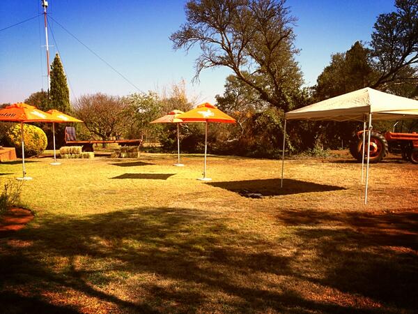 Things starting to take shape, who's amped?