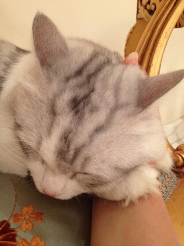 ghadeer_amoudi's tweet image. I misssssed  You .. 😭
#mesho ~♥😍