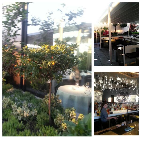 Duke saturday afternoon!